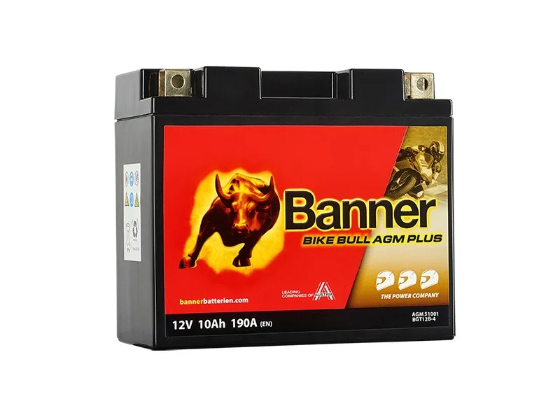 battery683755
