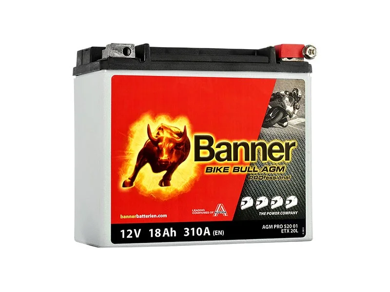 battery683863