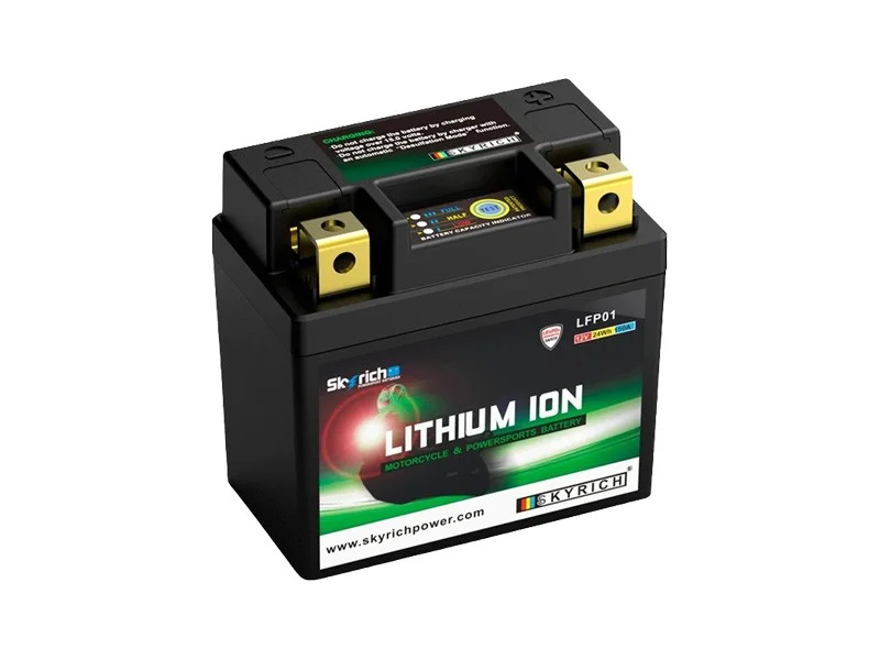 battery691446