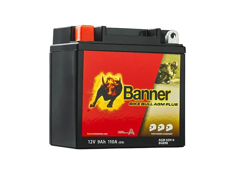 battery693262