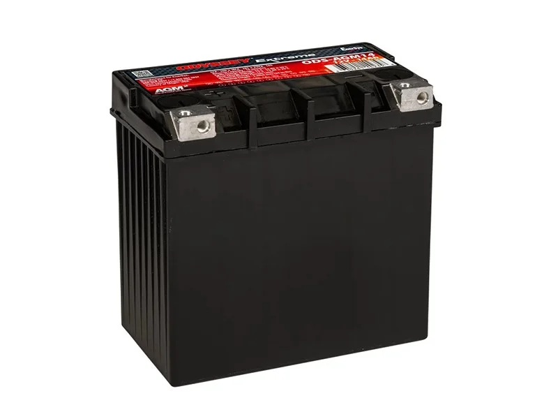 battery694309