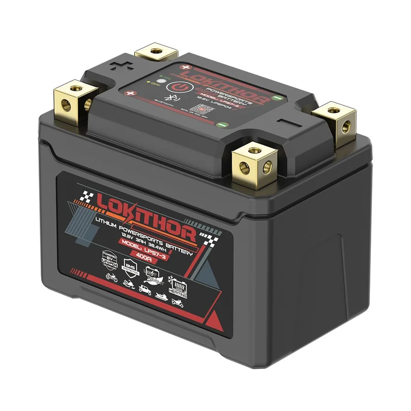 battery701237