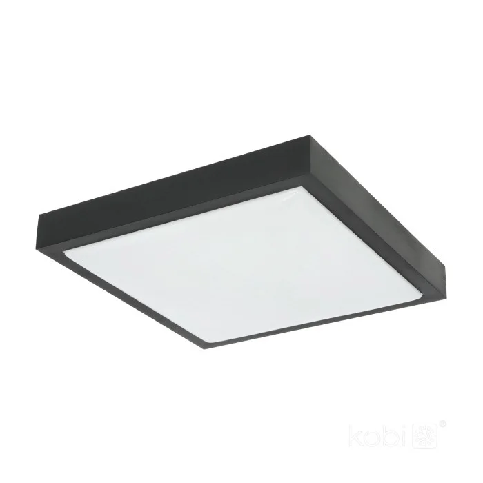 rozsvitimesvet706977